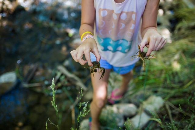 Crawdad catching in the creek at Crawdad Canyon