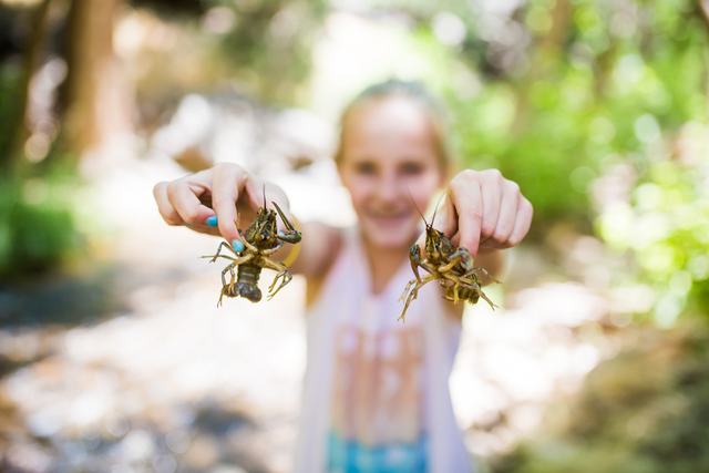 Crawdads from the creek at Crawdad Canyon