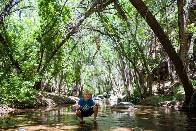 Crawdad catching in the creek at Crawdad Canyon