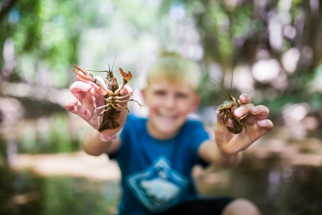 Crawdads from the creek at Crawdad Canyon