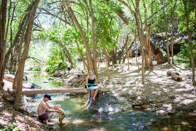 The creek running through the trees in Crawdad Canyon