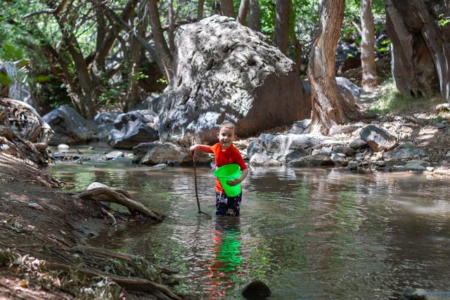 Crawdads from the creek at Crawdad Canyon