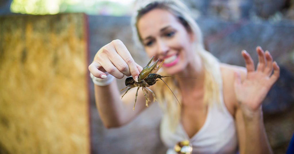 Crawdads caught in the creek